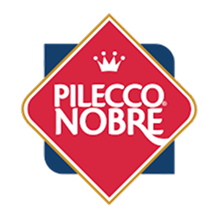 Pilecconobre