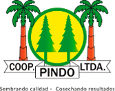 Pindo